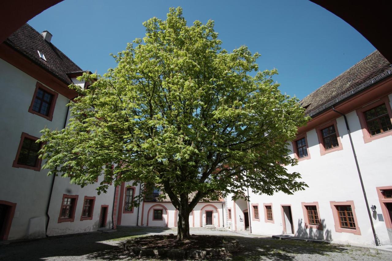 Hotel & Tagungszentrum Schloss Hohenfels Hohenfels  Екстериор снимка