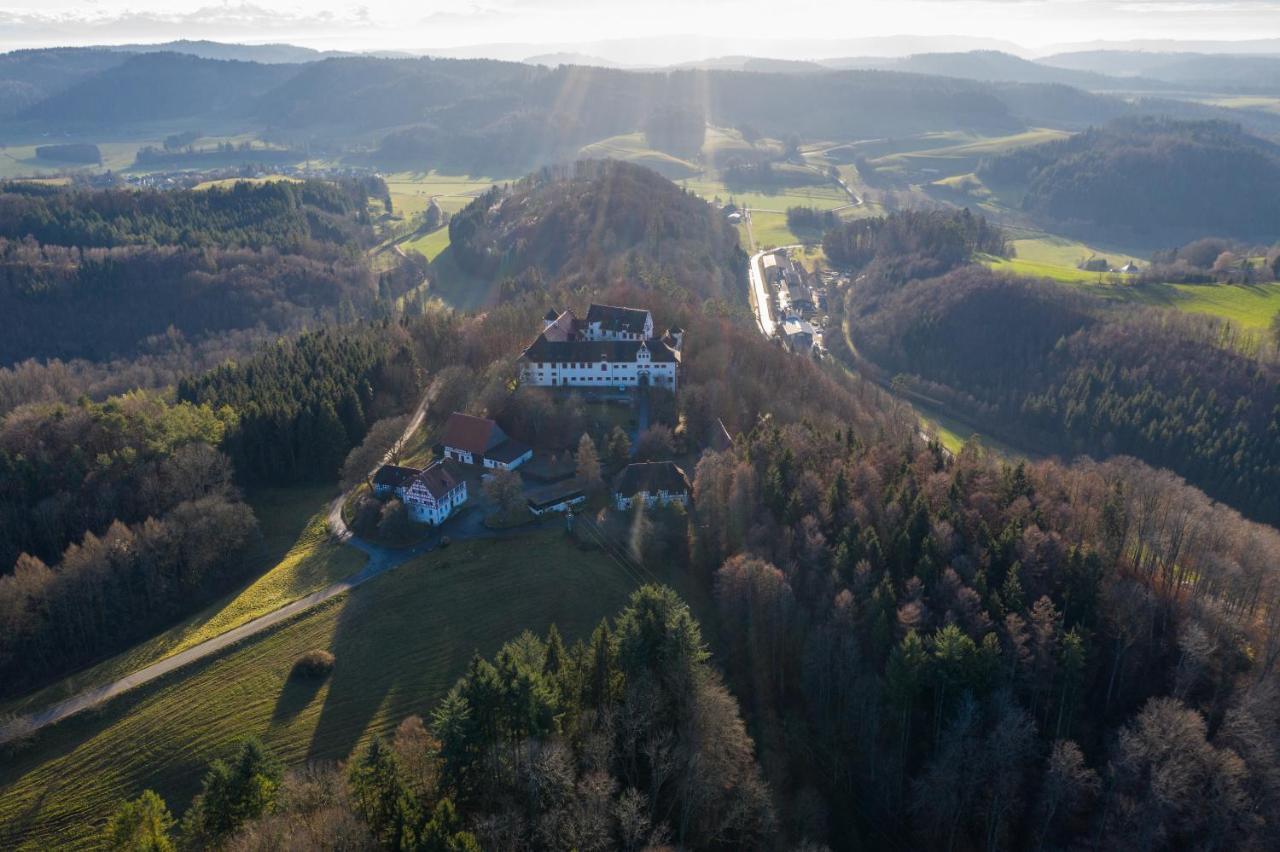 Hotel & Tagungszentrum Schloss Hohenfels Hohenfels  Екстериор снимка