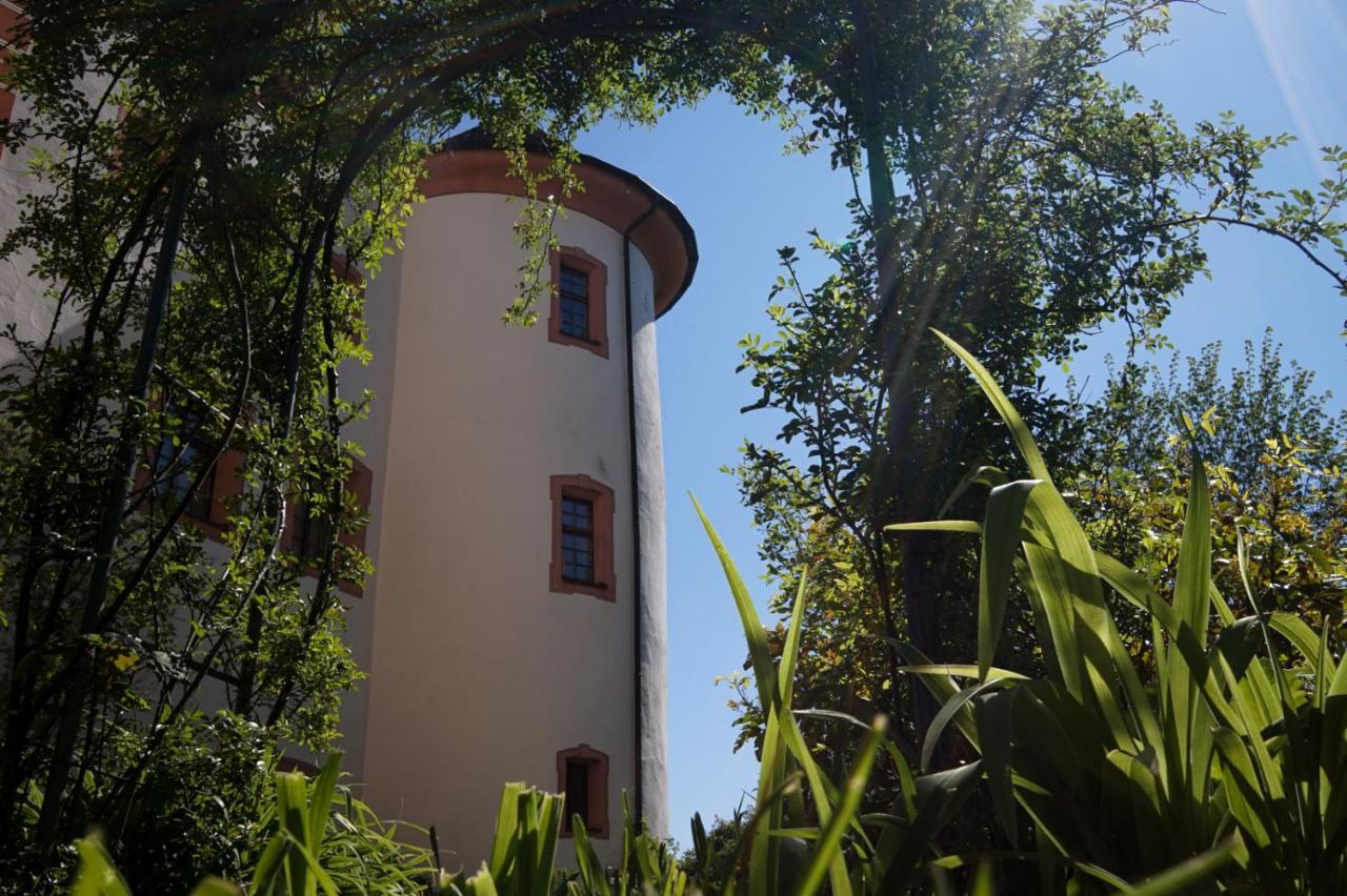 Hotel & Tagungszentrum Schloss Hohenfels Hohenfels  Екстериор снимка