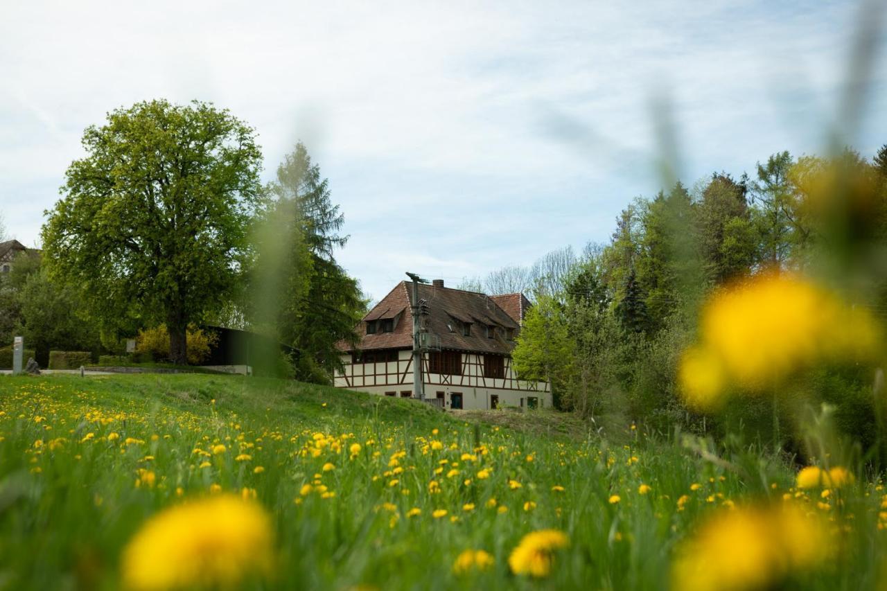 Hotel & Tagungszentrum Schloss Hohenfels Hohenfels  Екстериор снимка
